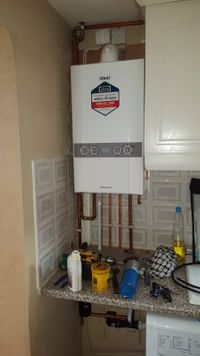 IMG-20210211-WA0020